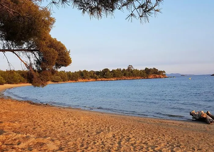 Plein Sud Les Cyclades Lejlighed Le Lavandou